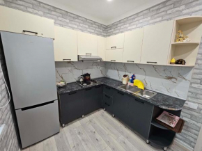 Small vip villa Gabala